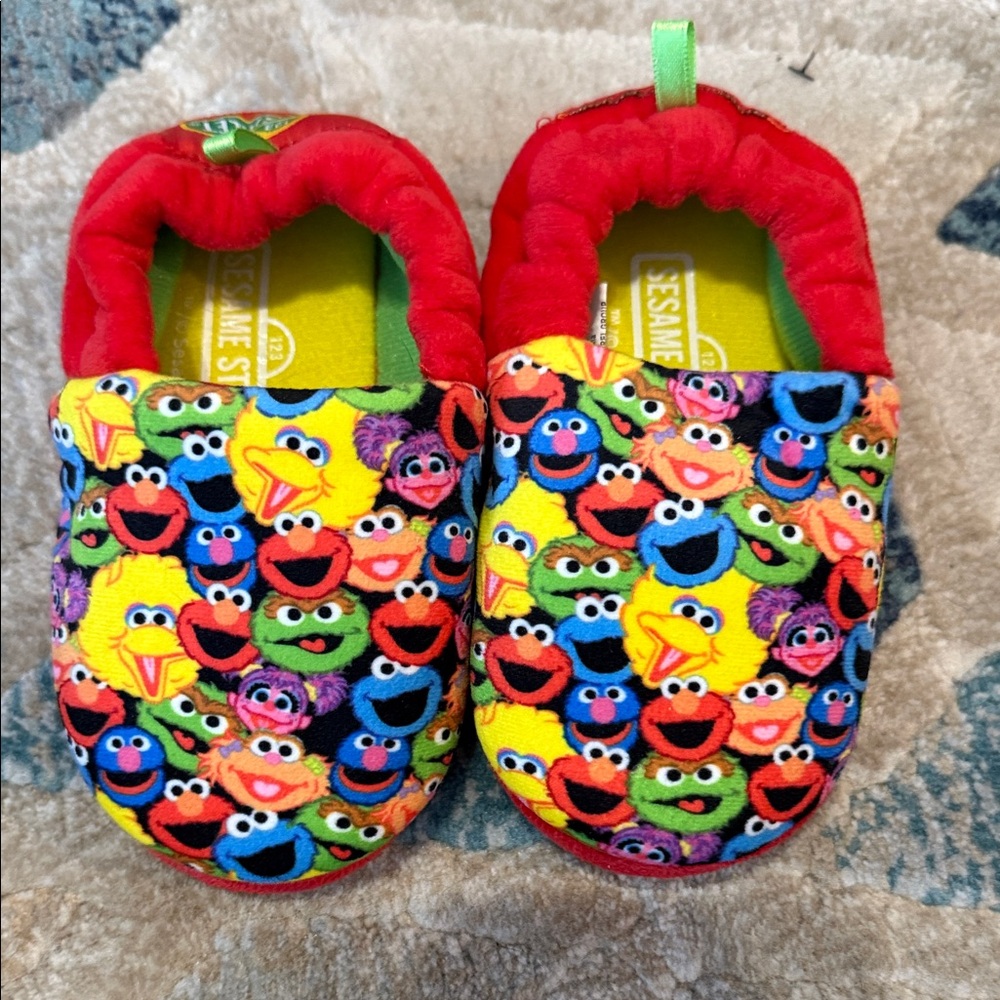 Sesame Street Multicolor Character Slippers